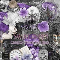 Swan Angel Mini Kit