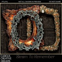 Steam To Remember